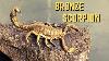 Casting A Solid Bronze Scorpion