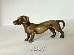 Dog Dachshund In Golden Bronze Patina Twentieth Art Deco