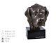 English Pointer, Miniature Statue / Dog Bust, Limited Edition, Art Dog En