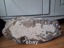 Rare Art Deco sculpture by Richard FATH Bronze Wounded Lioness on Marble Rock