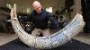 Restoration Of A 20,000-year-old Mammoth Tusk