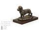 Teckel With Hard Hair, Dog Statue On A Wooden Base, Limited Art Dog Fr
