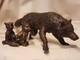 Wolf And Wolf Cubs Bronze Animal Art Sculpture Signed Le Cann, Numbered