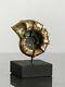 1970 Ammonite Sculpture Art-deco Moderniste Cinetique Shabby-chic Bronze