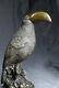 Art Animalier- Sympathique Toucan Signé Milo Bronze- Envoi Gratuit