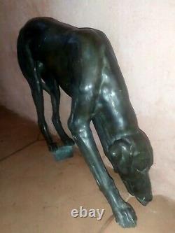 Grand levrier buvant en bronze, Art deco, Jules Edmond MASSON (1871-1932)