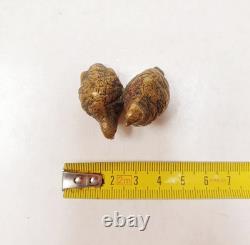 Sculpture Bronze de Vienne signé GESCHÜTZT XIXe Couple de Cailles Oiseaux