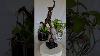 Trojan Homeware Bronze Statue Of Flying Mercury Bronze Sculpture